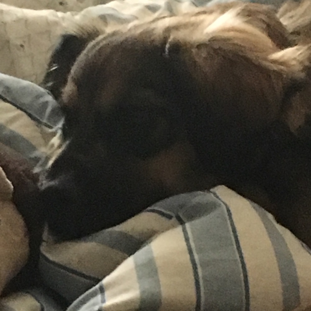 Meet your Posher, Letisha